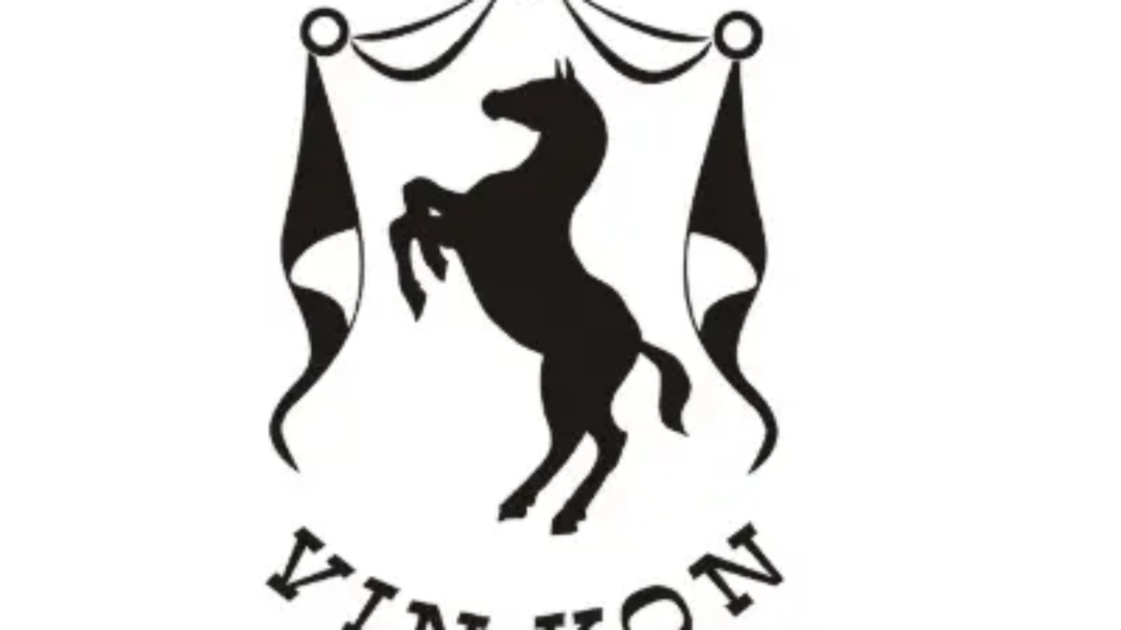 Vin-kon-logo